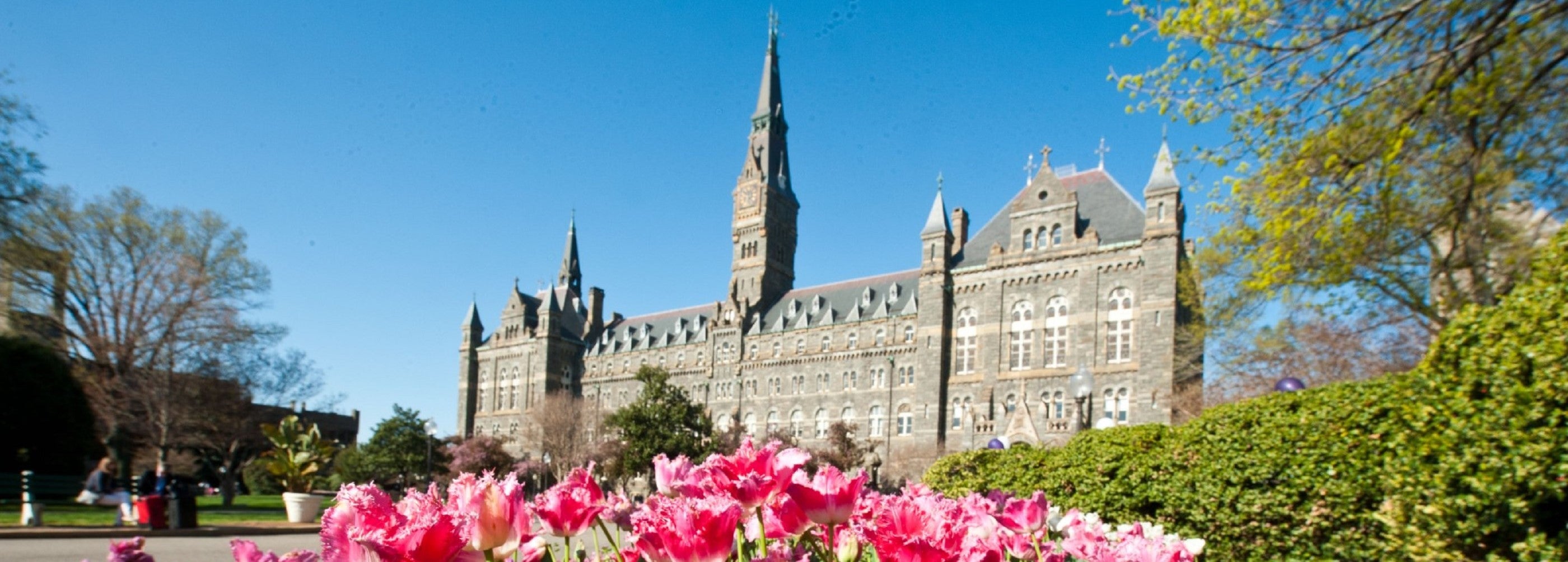 Connect With Hoyas Georgetown Admissions Ambassador